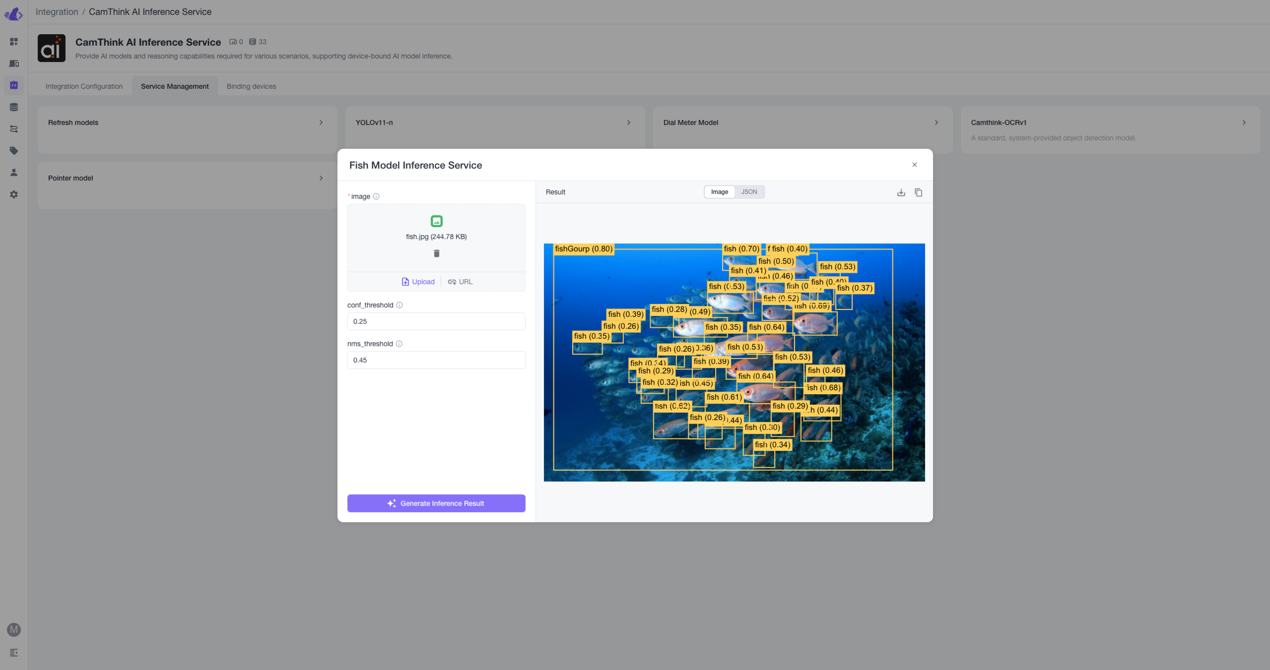 beaveriot-integration-cinfer-test