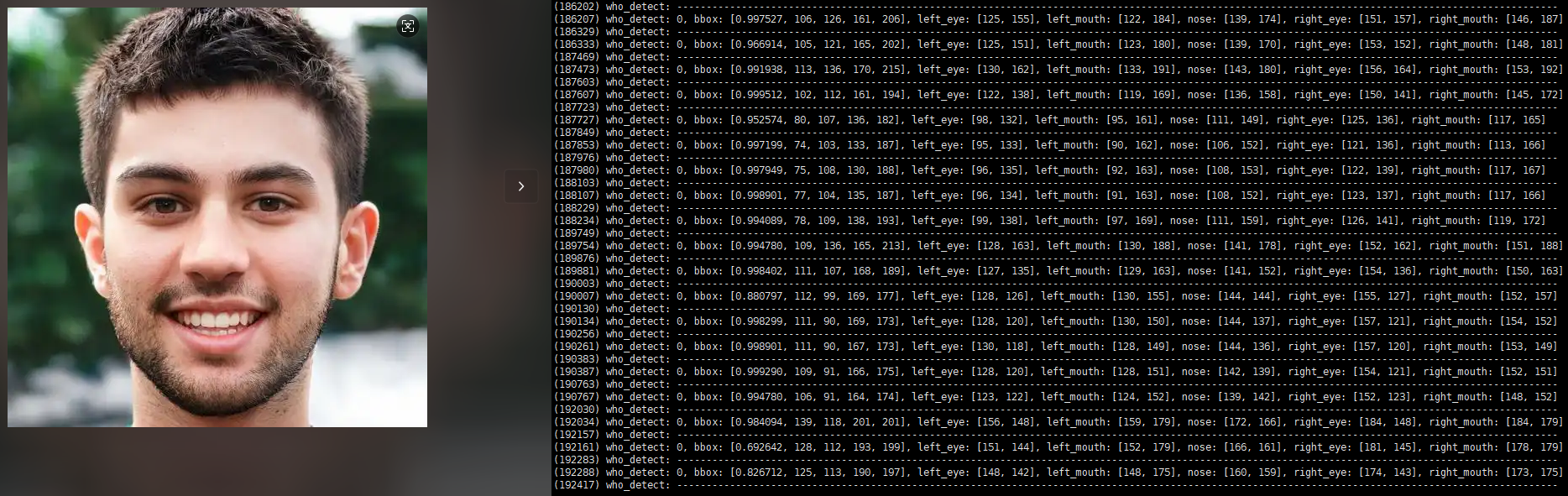 人脸检测静态示意图